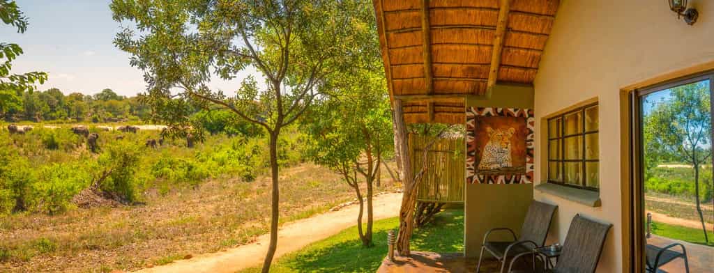 Leopard Room with elephants in the Sand River beyond