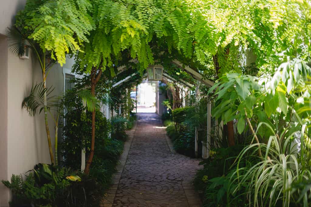 The entrance to The Last Word Franschhoek