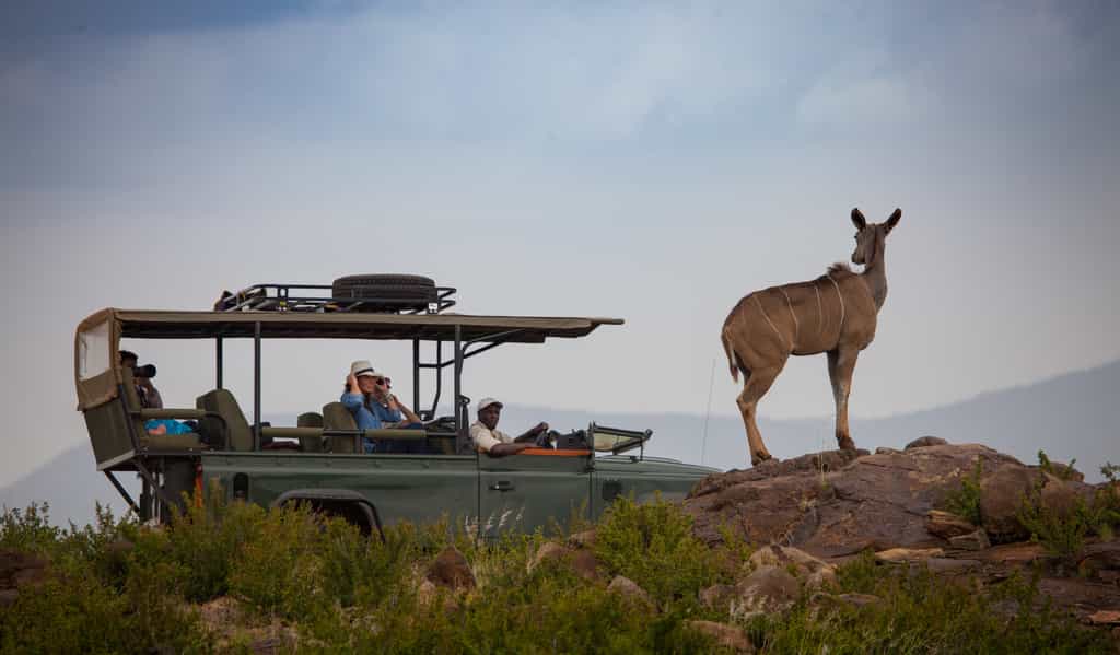 Loisaba Conservancy boasts a fleet of 16 new custom-designed Land Rover safari vehicles