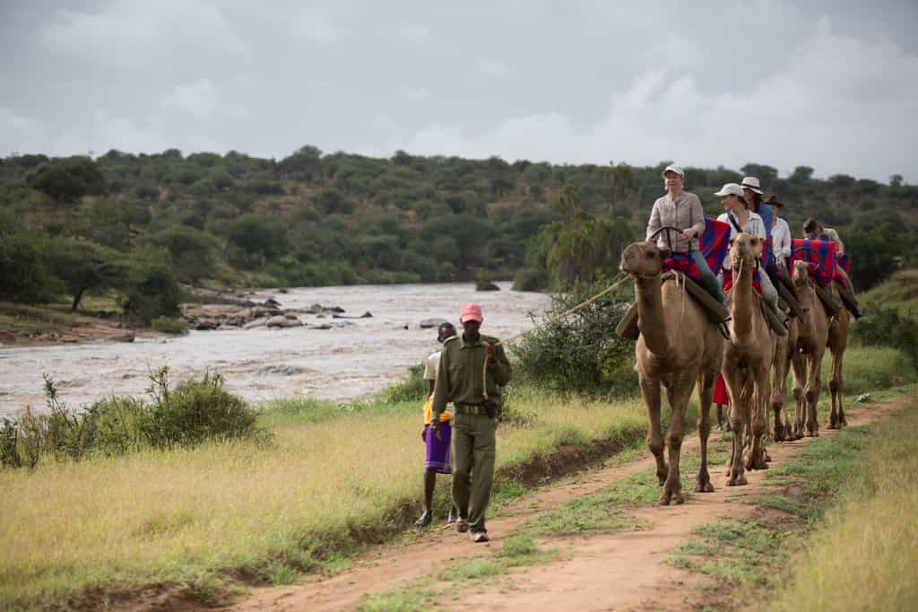 Camel-trekking along the Ewaso Nyiro river in Loisaba
