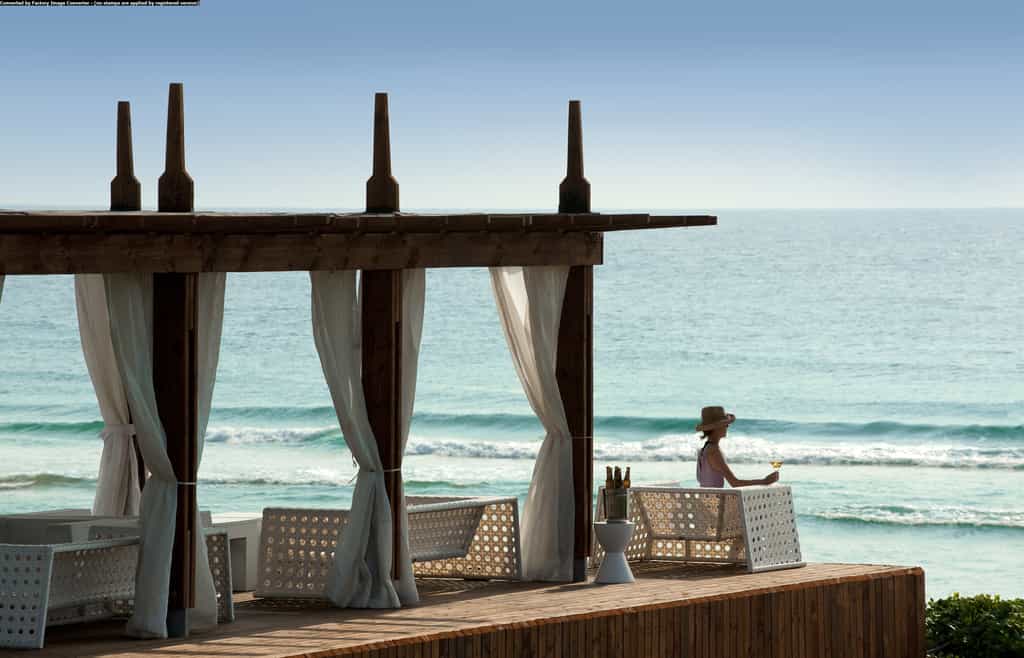 Basking in the sunshine