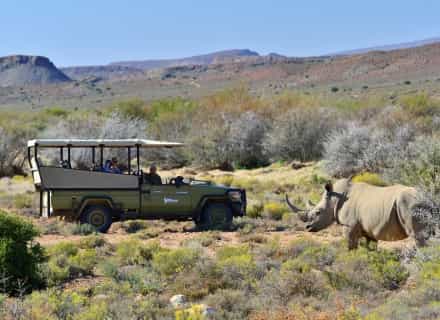 Game drives at Sanbona
