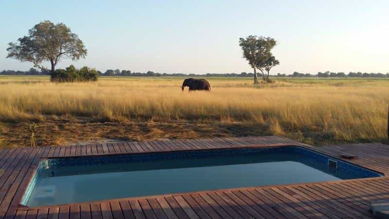A wooden walk-way leads you out from the main deck to the swimming pool where you can relax on a sun lounger before the next activity. In the evenings the pool deck is a wonderful viewpoint for star gazing.