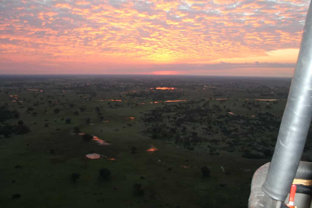 This is the only area in the Okavango Delta to offer hot air ballooning.