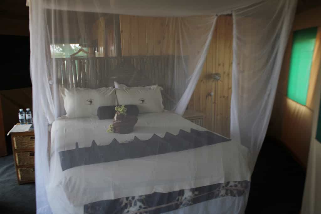 Comfortable accommodation