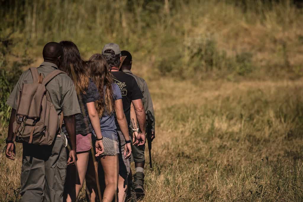 Walking safaris in Selinda