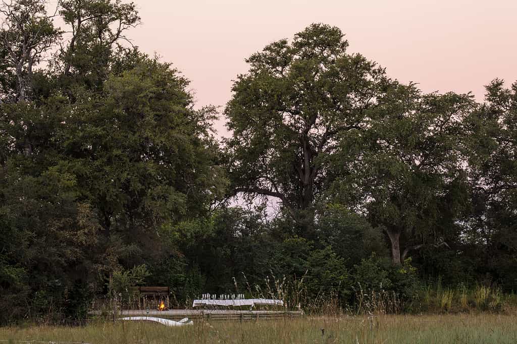 Motswiri Camp under the trees