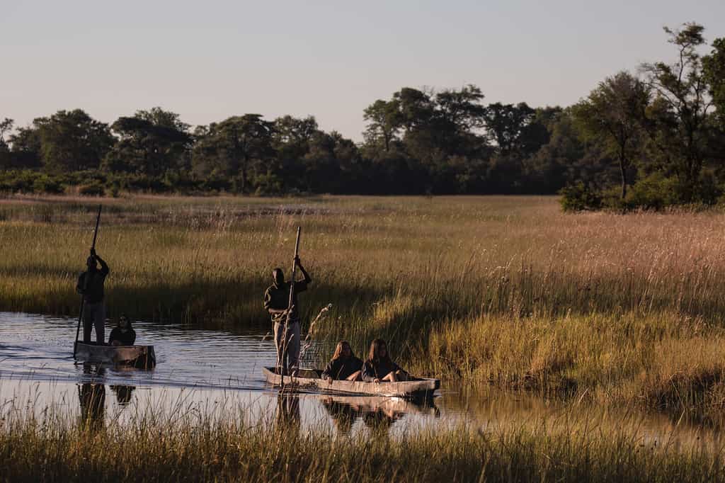 Mokoro safari