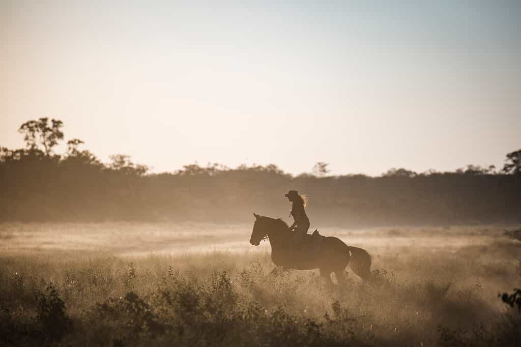 Horse riding in the Okavango Delta