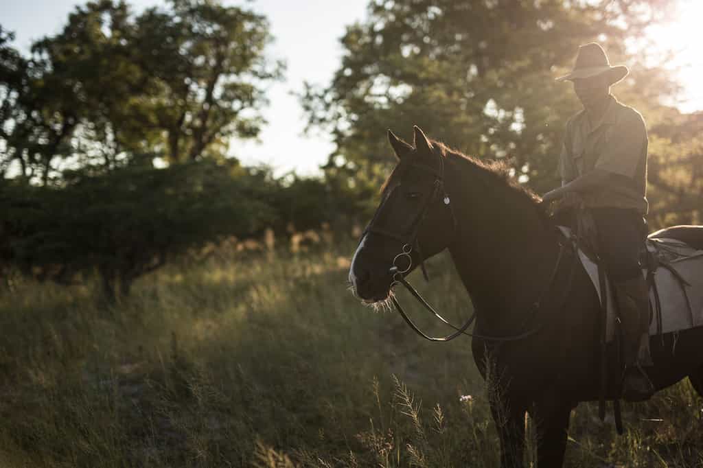 Guided horse riding safaris