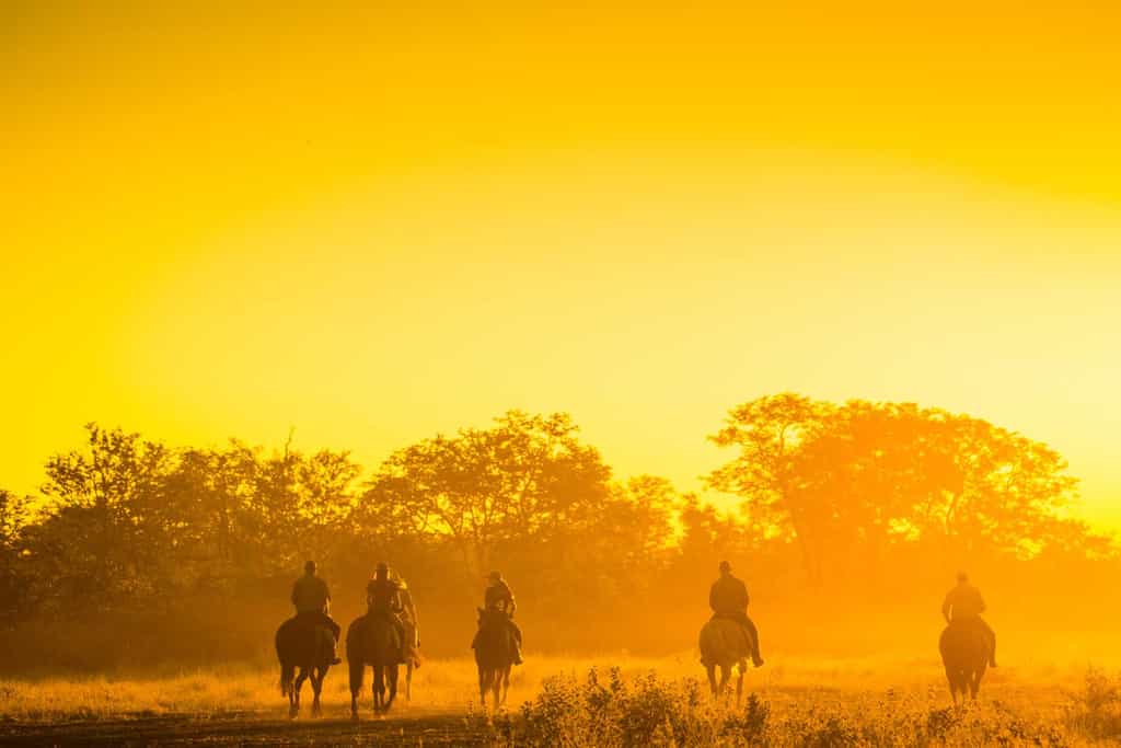 Horse riding at sunrise