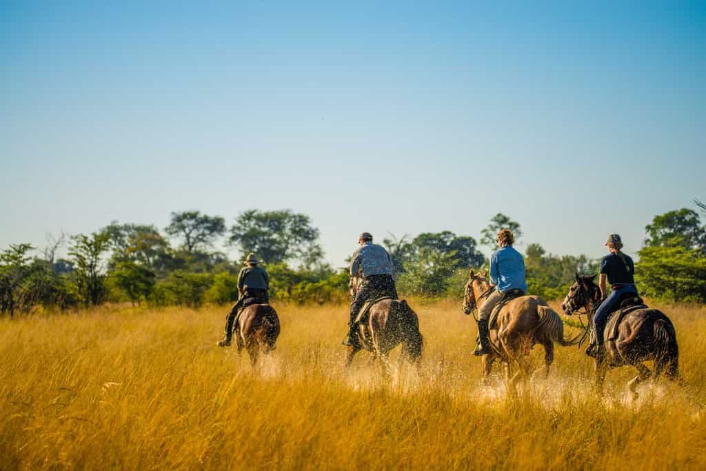 Horse riding at sunrise