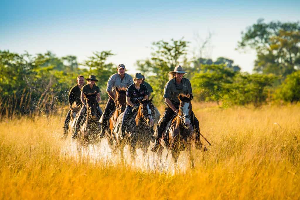 Horse riding at sunrise