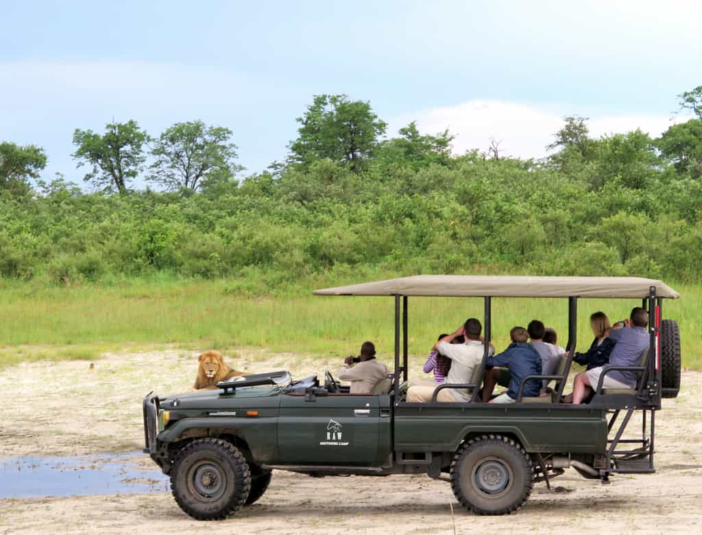 Game drives in the Selinda Reserve