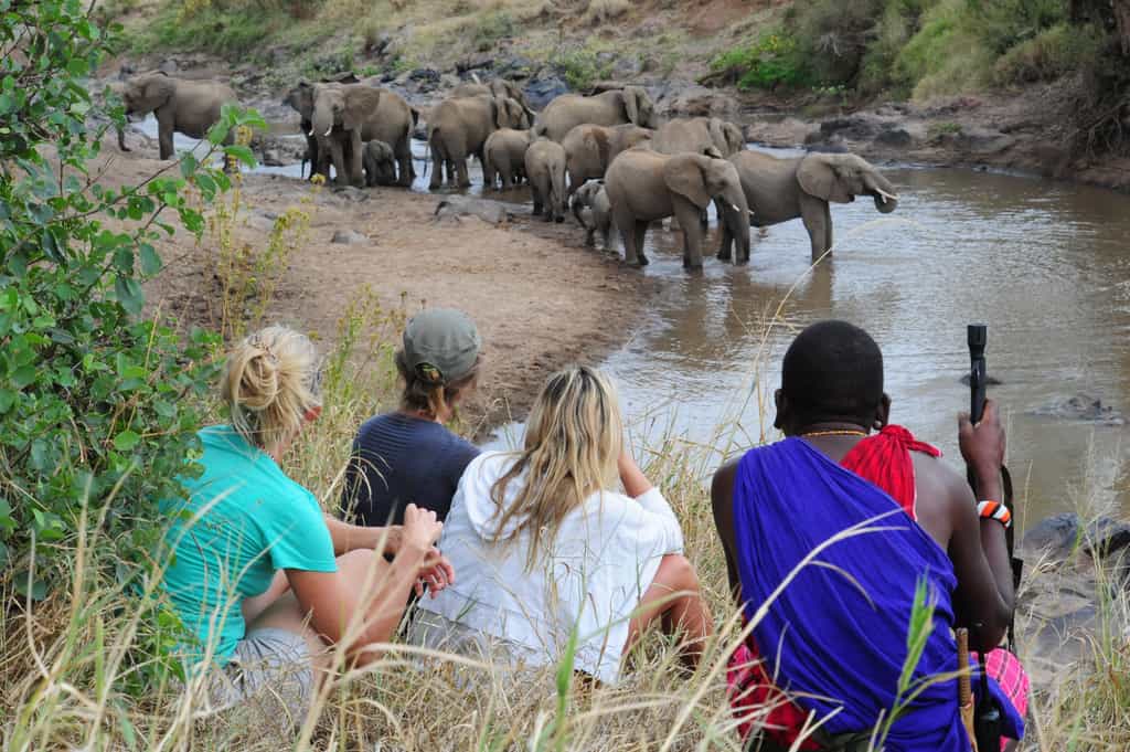 Walking Safaris with Karisia