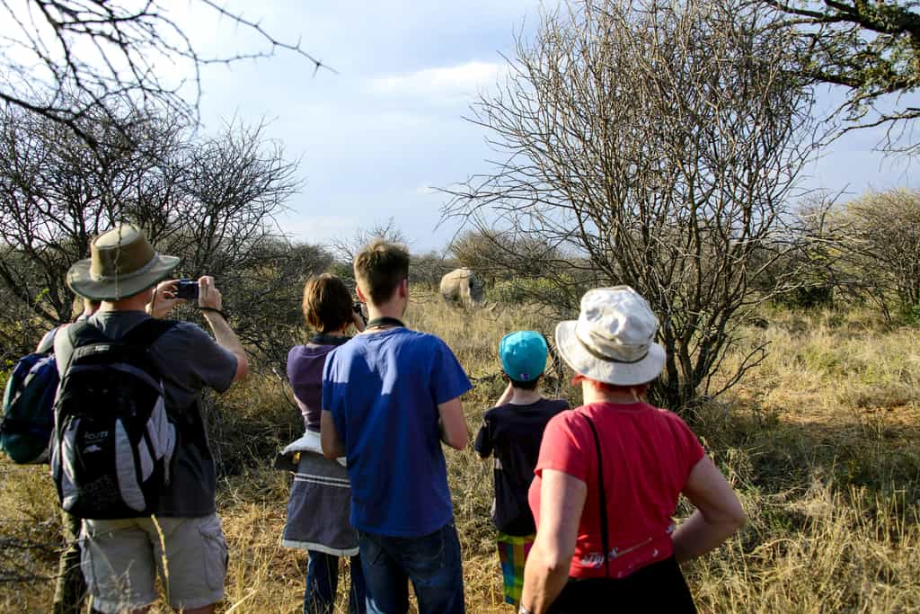 Doing it like the ancient Bushmen: A tracker takes you on a foot-search for rhino, giraffe and other animals.