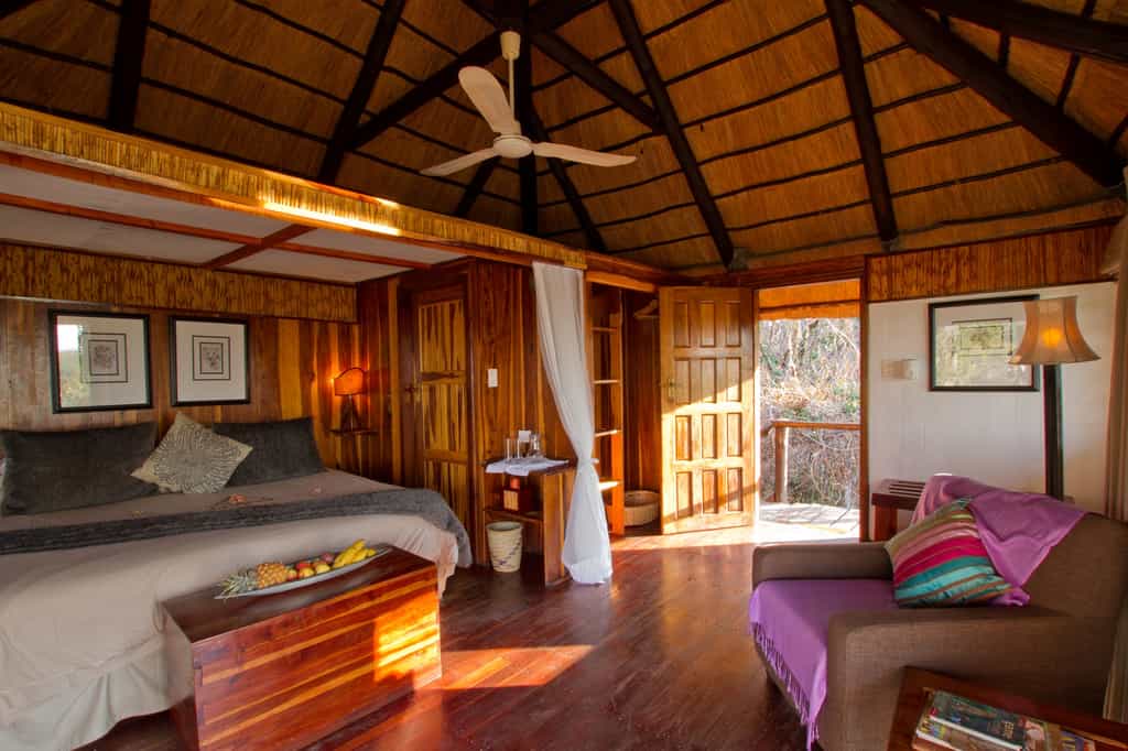 Eight luxury en-suite chalets all with river views echo the colours of Africa. Here lies promise of excitement by day; tranquillity by night. 