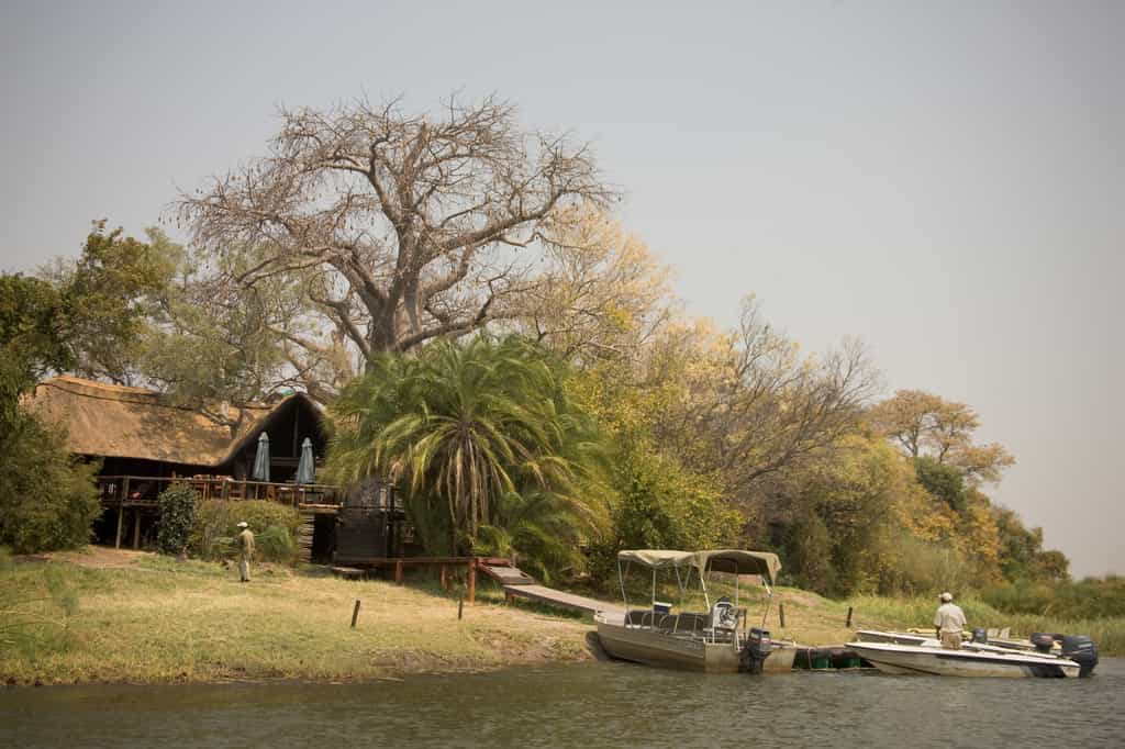 Kaza Safari Lodge is a water-bound wonderland. The thatched main complex consists of an elevated deck built around an ancient baobab, with a lounge, dining room, bar and swimming pool.