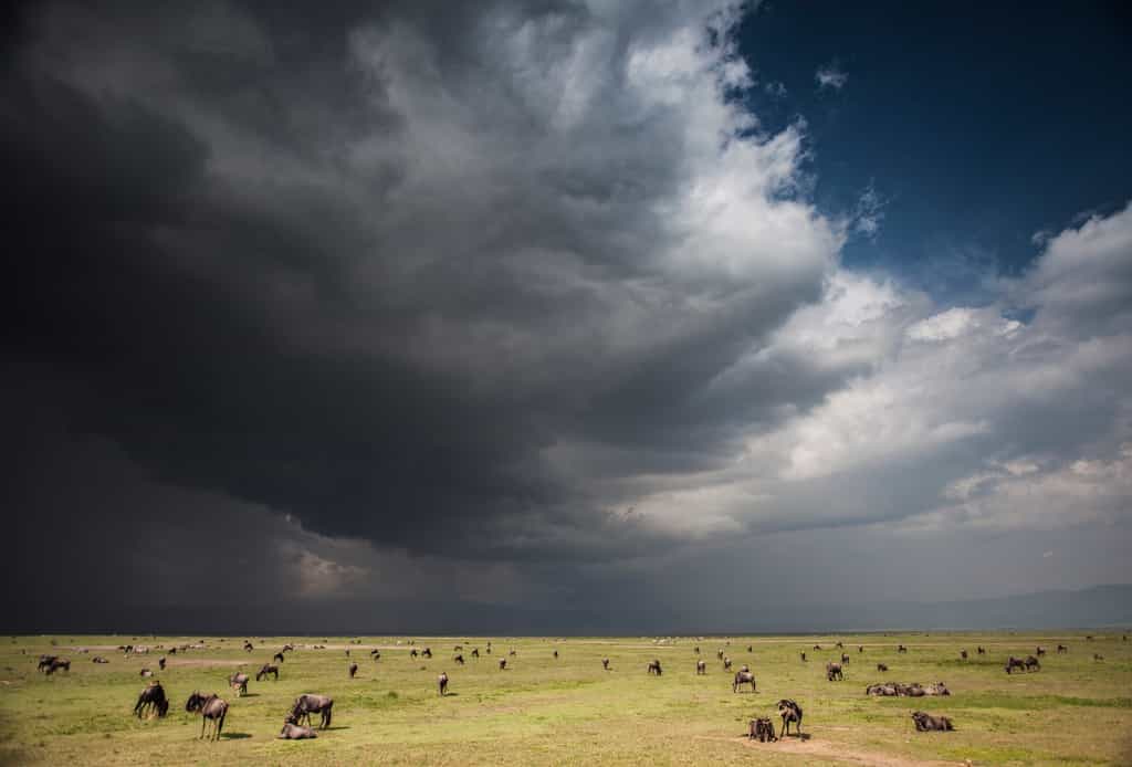 Dramatic skies over the Ngorongoro Crater