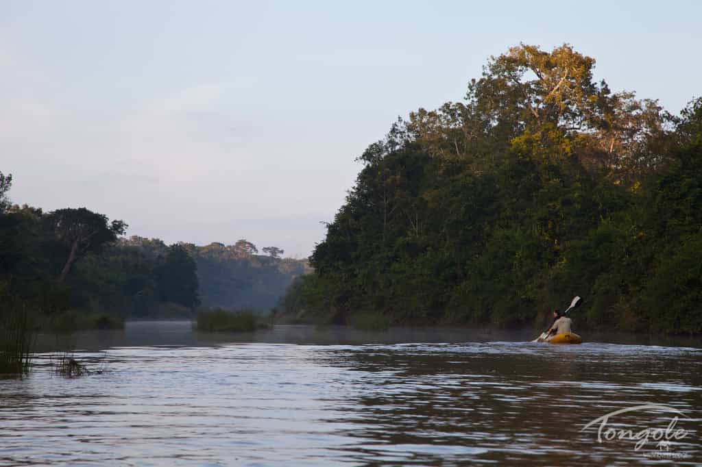 Kayaking at Sunrise