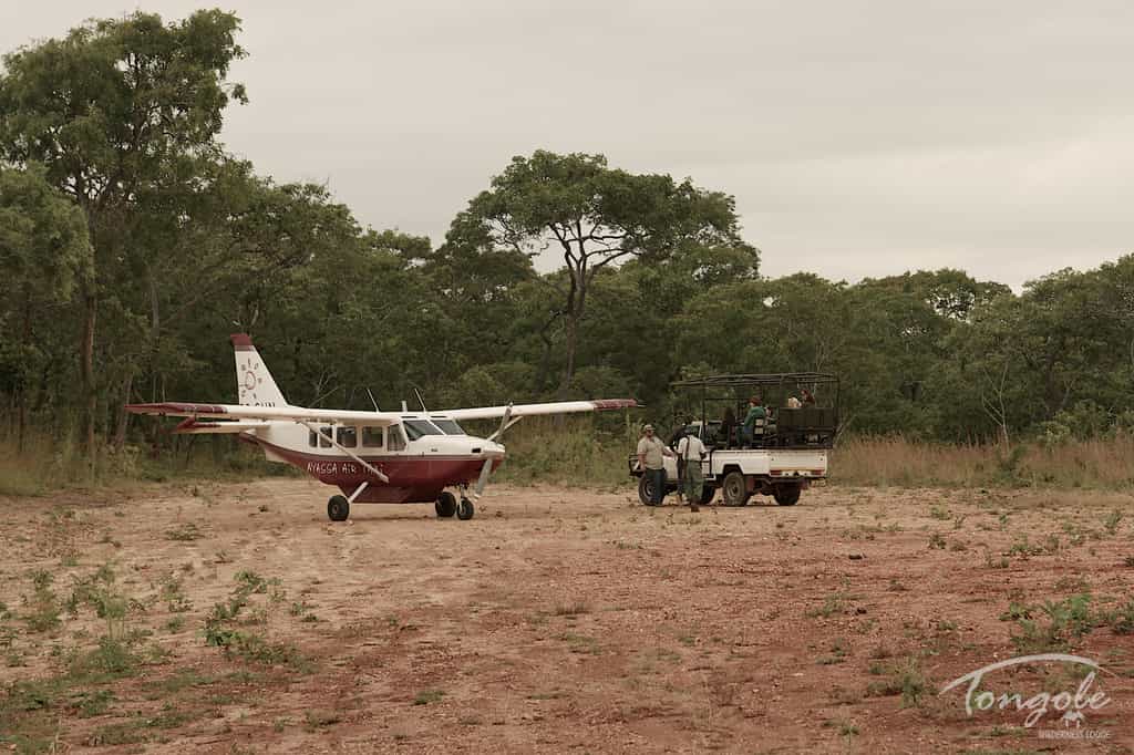 Private Airstrip
