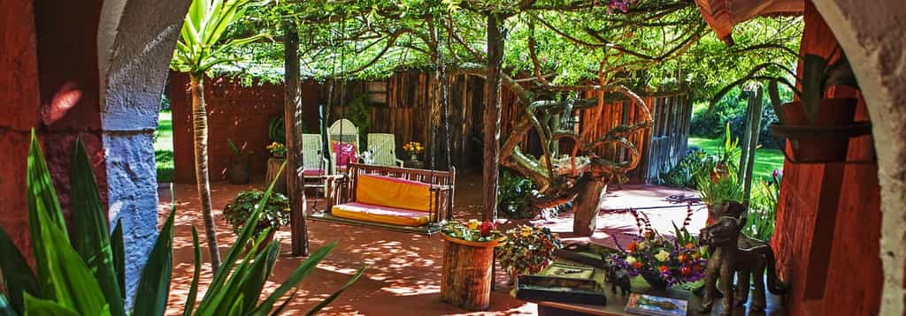 A collage of the different animals within the Olerai Private Wildlife Sanctuary