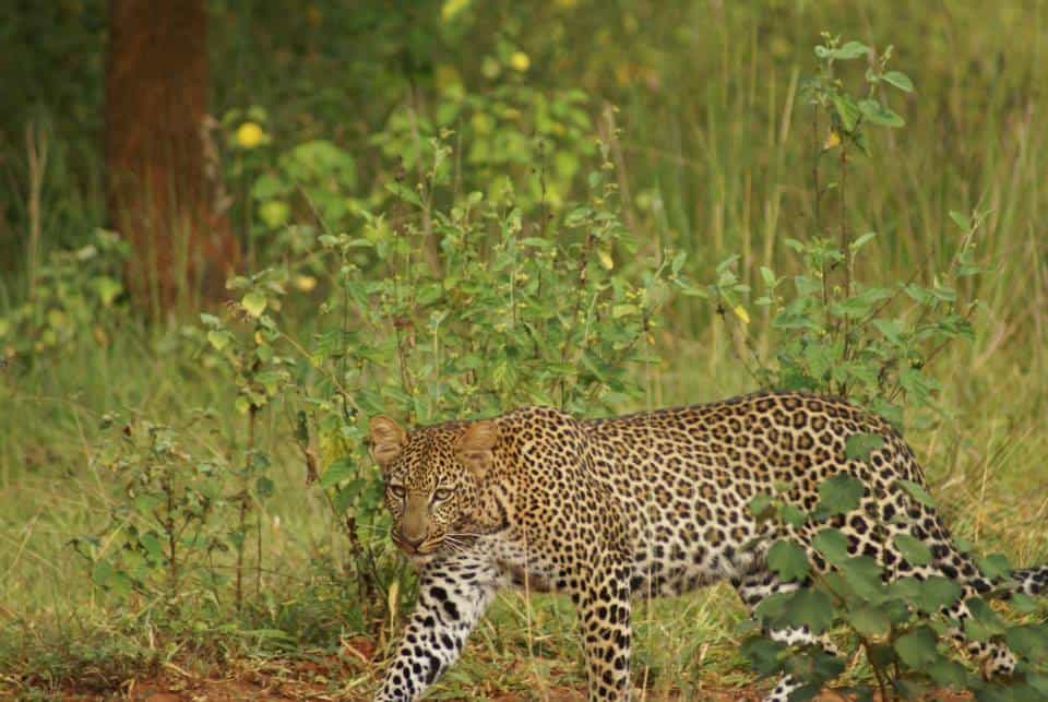 one of the many sights to see at Ziwa Rhino Sanctuary