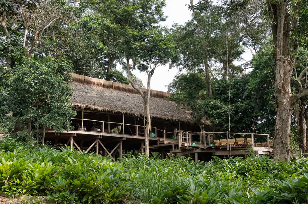 Camp setting in the forest