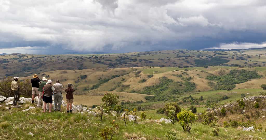 Nyika Landscape