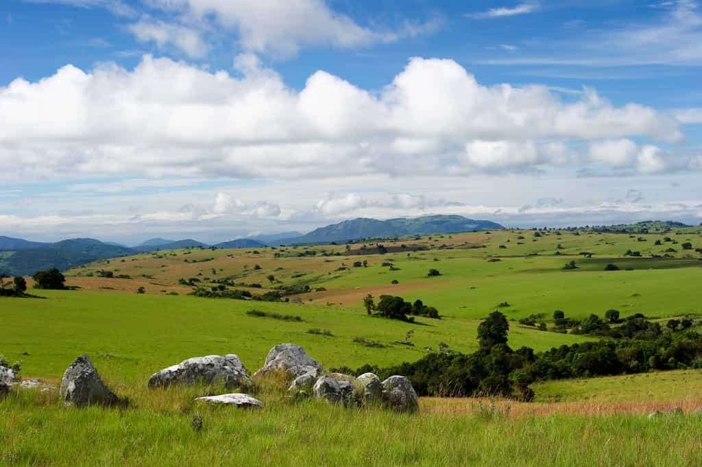 Nyika Landscape