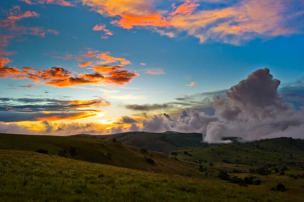 Nyika Landscape