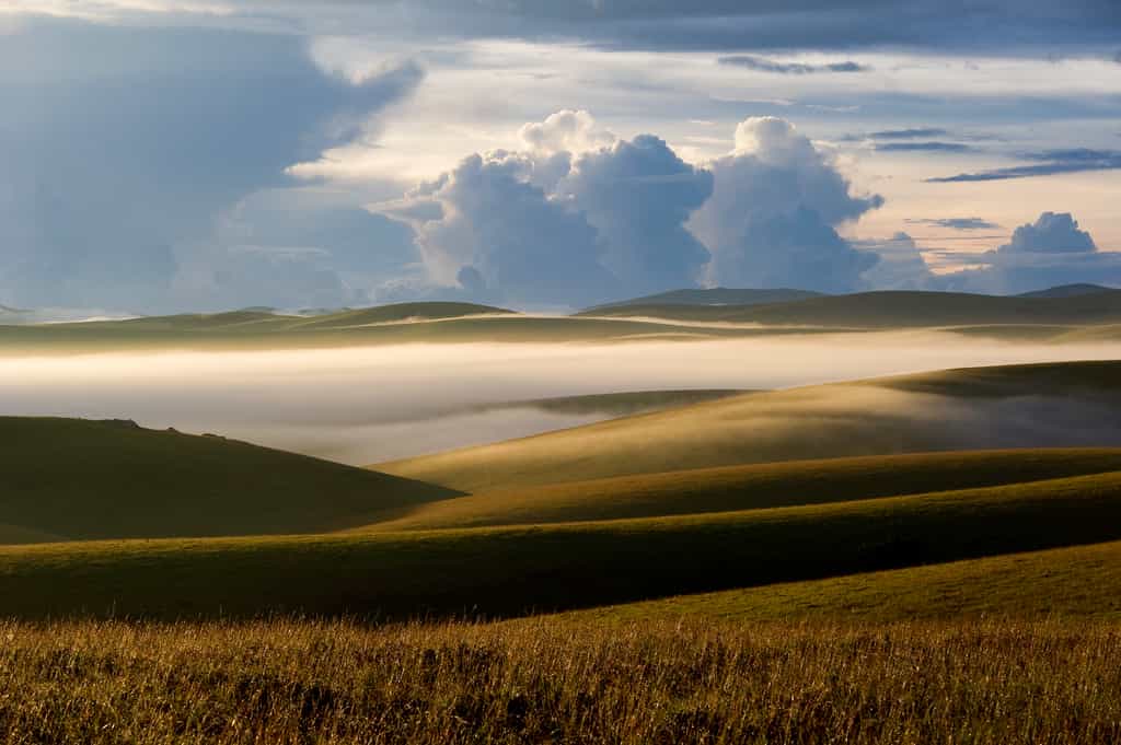 Nyika Landscape
