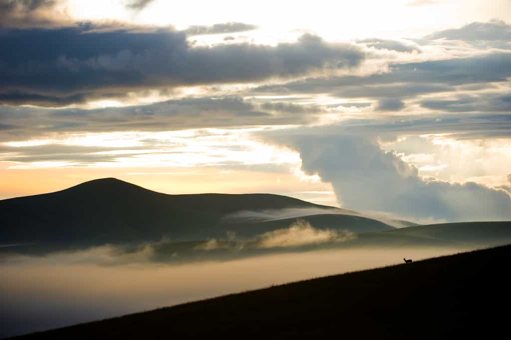 Nyika Landscape
