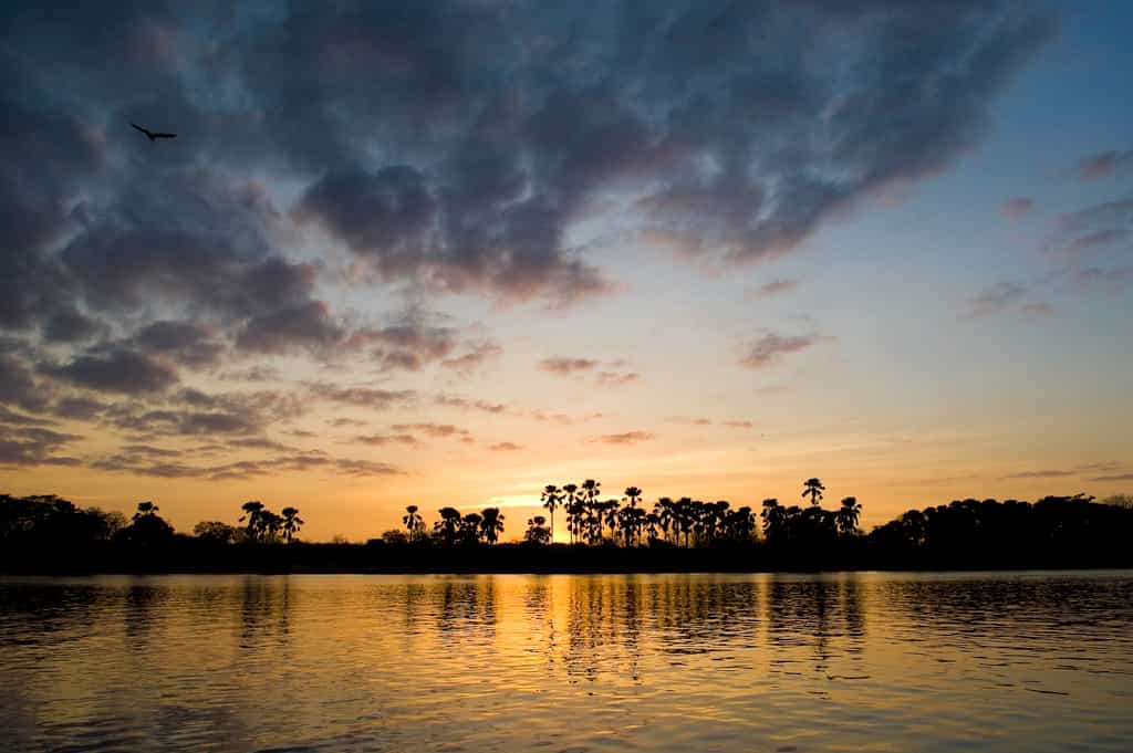 Sunset Over Shire River