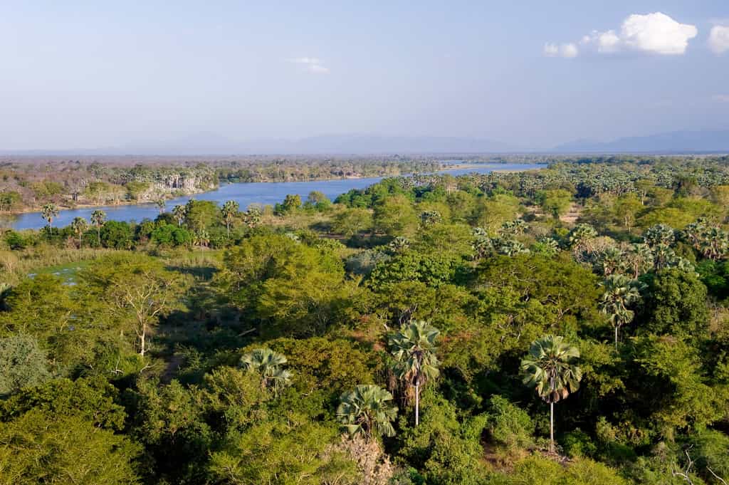 Liwonde National Park