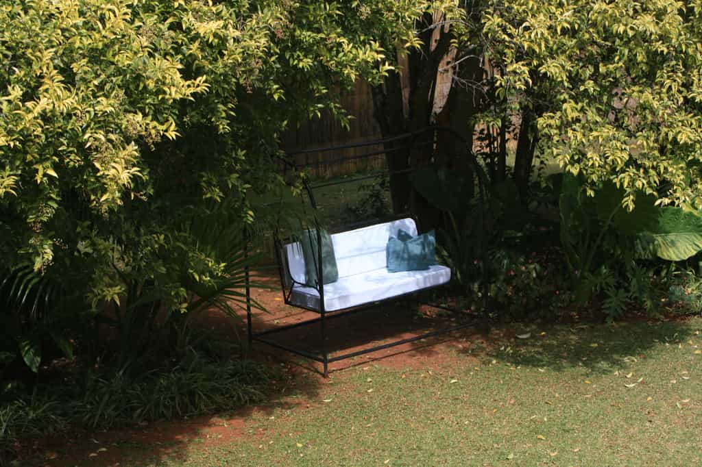 The bench between the trees