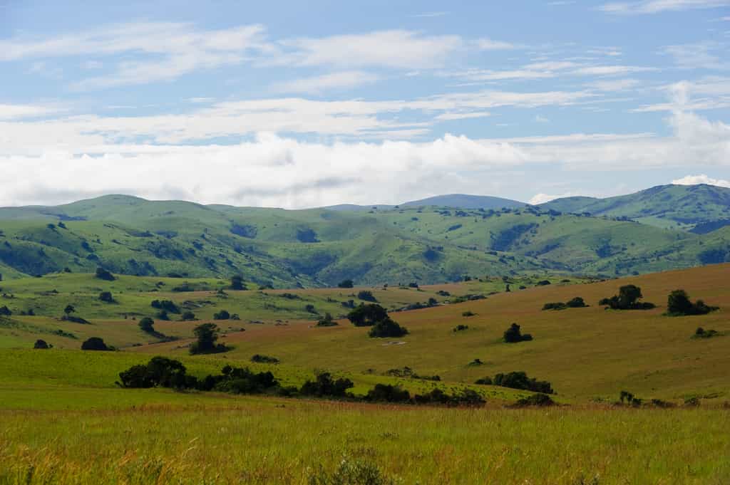 Nyika Landscape