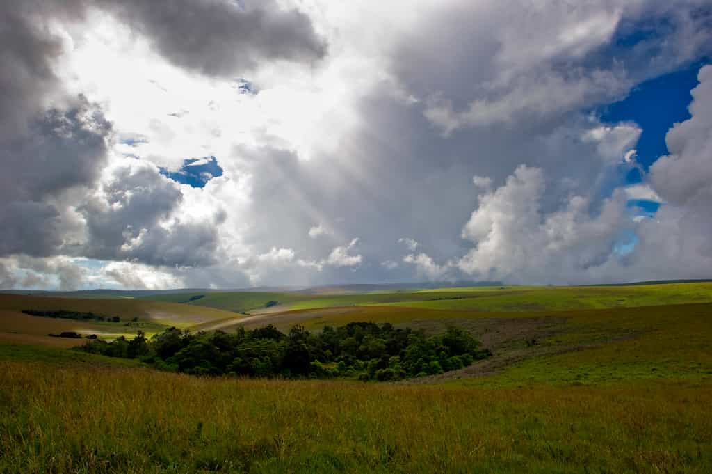 Nyika Landscape