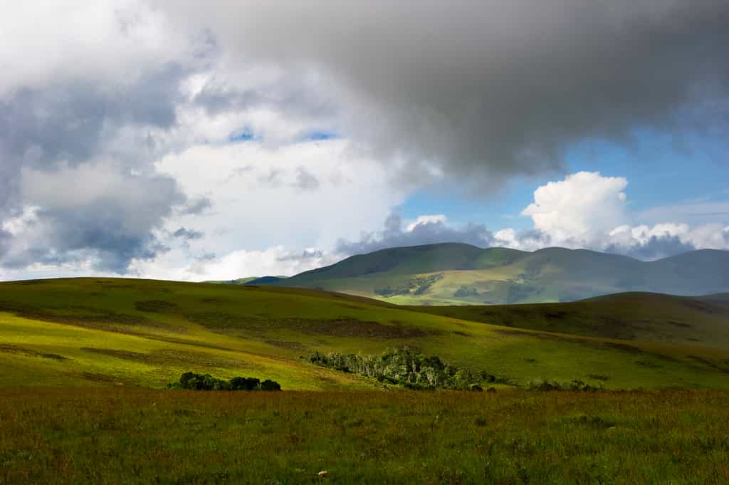 Nyika Landscape
