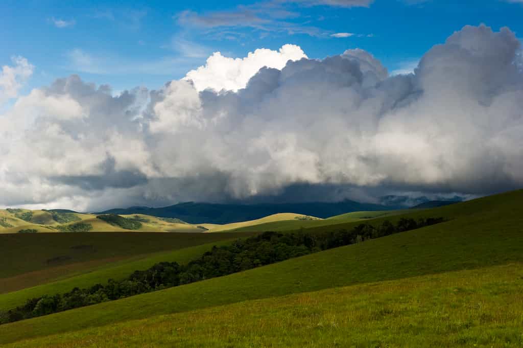 Nyika Landscape