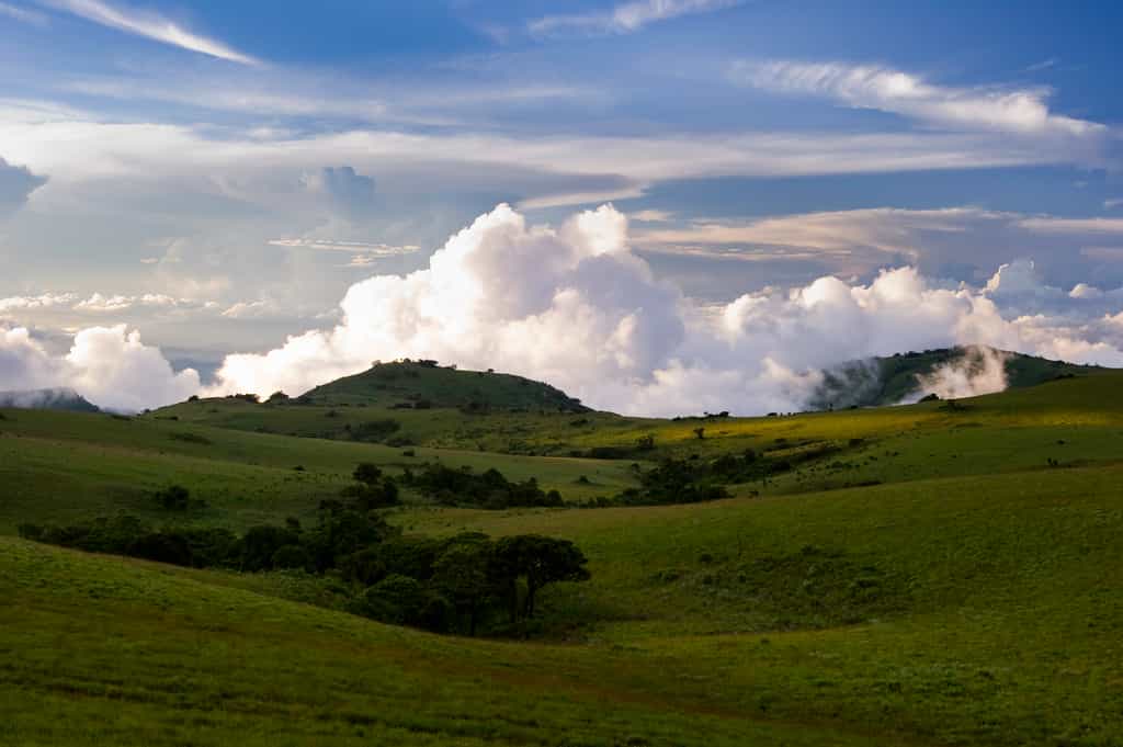 Nyika Landscape