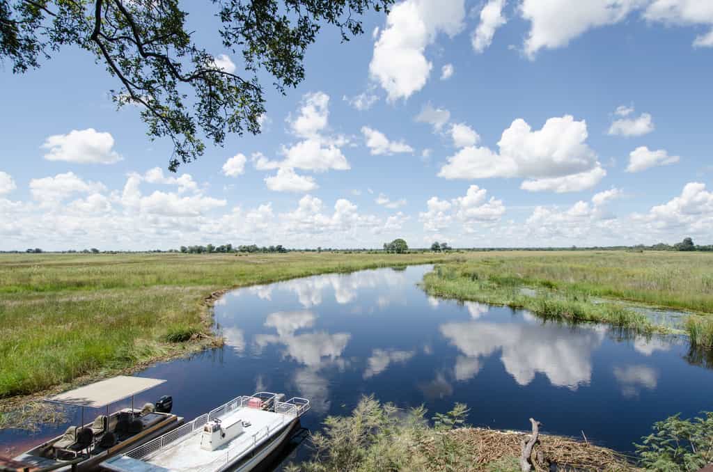 Boat cruise on the Kwando River