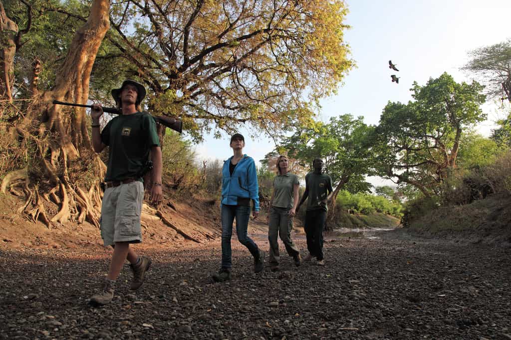 Following the Makuyuni River during the dry season