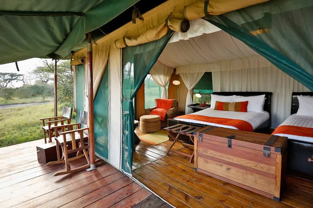 The tents all enjoy queen size twin beds.  All are ensuite with flushing toilets and hot showers.  Power is provided by an inverter and available 24 hrs a day.  Very spacious with lots of room to relax and unwind