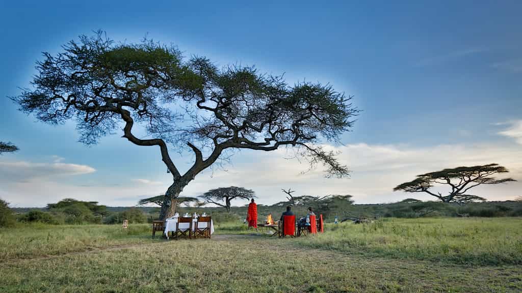 Enjoy a bush dinner under the skies, privately hosted affording you a truly unique eating experience under the skies
