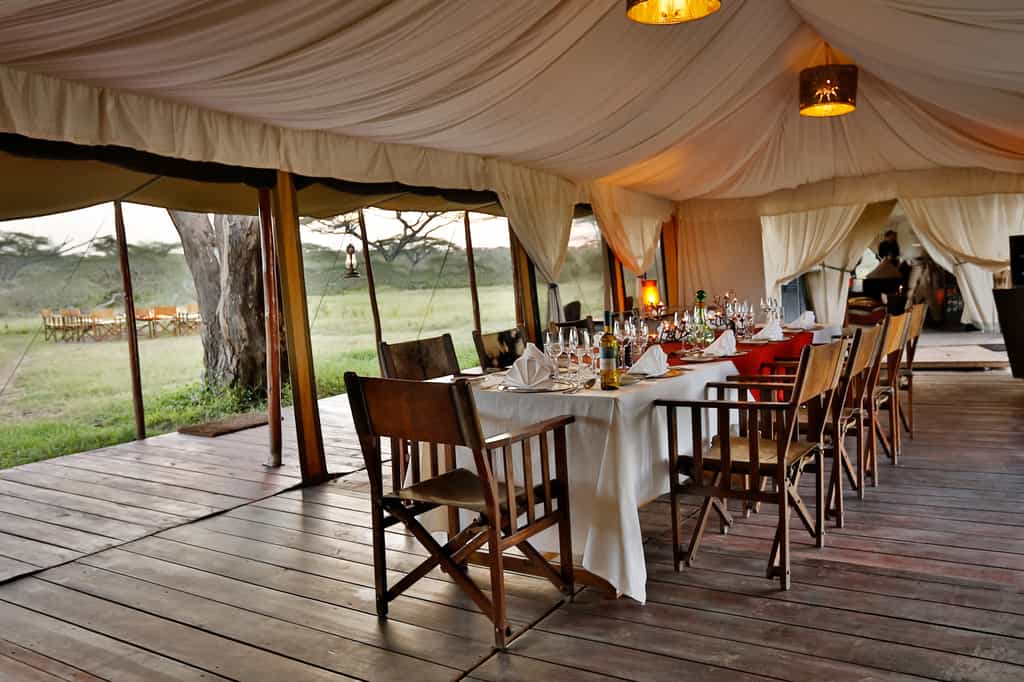 Communal style dining where guests can catch up with fellow travellers