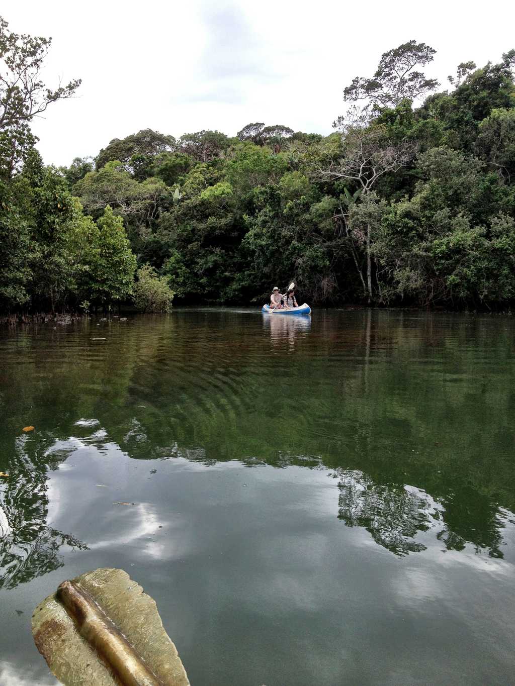 Various scheduled hikes done by guides from the local community