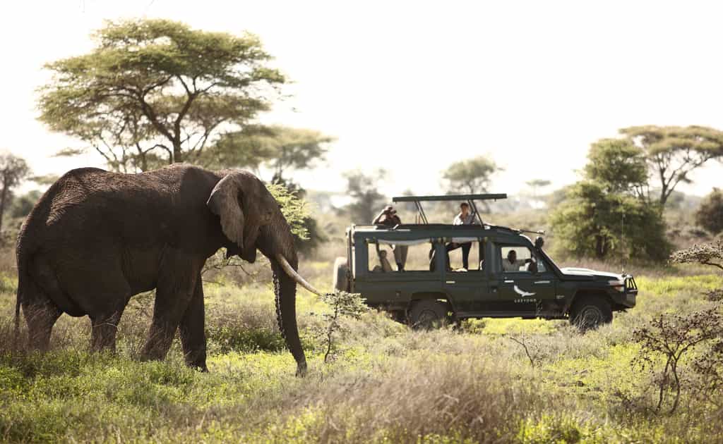 Exceptional year-round wildlife