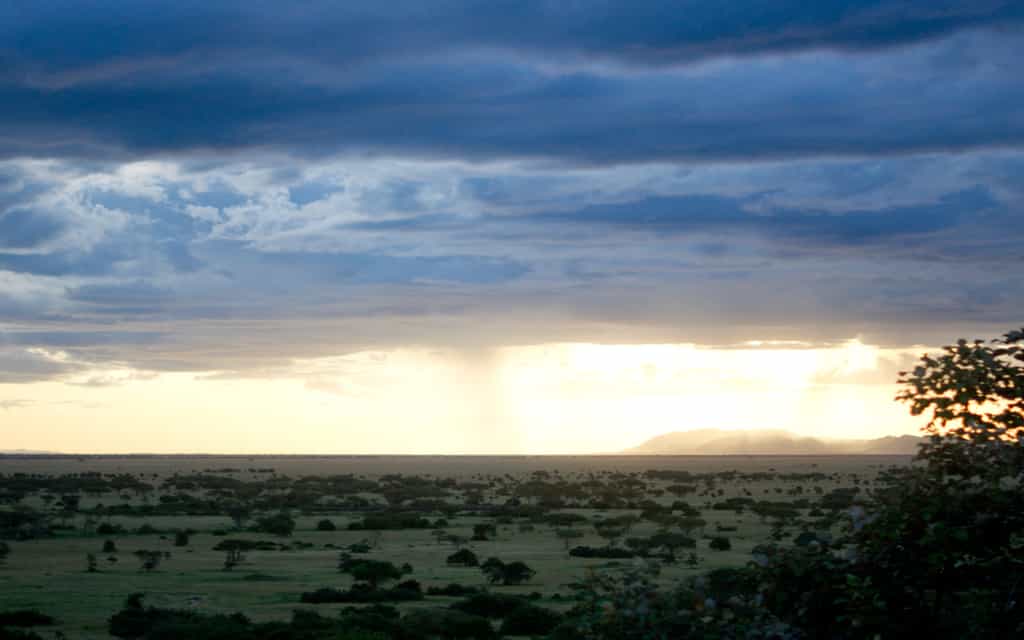 Situated in the remote western corridor of the Serengeti National Park, with resident game year-round