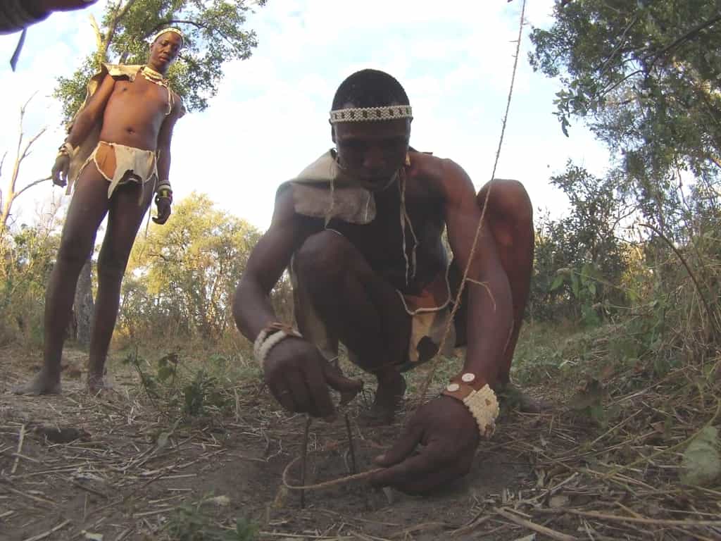Teaching the Bushman skills of building a bird trap